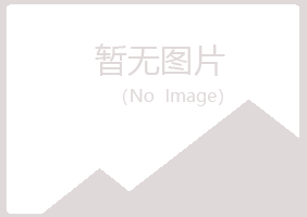 天津白山会计有限公司